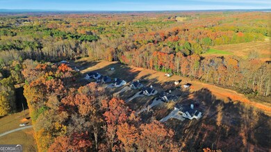 3034 Mount Hebron Rd, Hartwell, GA 30643 - photo 7