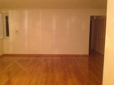 7206 Oak Ave unit 2SW, River Forest, IL 60305 - photo 4