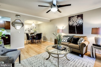 5700 Chapman Mill Dr unit 340, Rockville, MD 20852 - photo 6