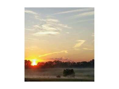 Sunrise view