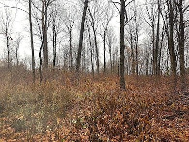 1141 12th Ave, Barron, WI 54812 - photo 7