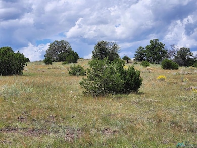 132 Cimarron Dr, Quemado, NM 87829 - photo 2