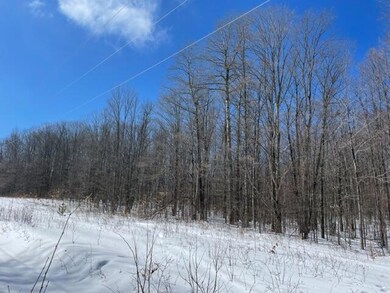 0 N Sunshine Trail unit 201817387, Wolverine, MI 49799 - photo 5