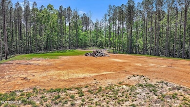 005 Pilgrim Rest Dr, Brandon, MS 39042 - photo 7