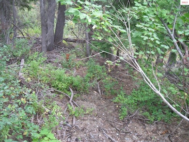 10 Parallel Run, Sandpoint, ID 83864 - photo 3