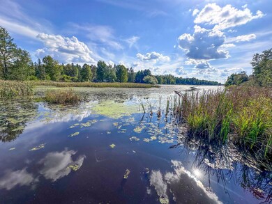 N8633 E Wilson Flowage Rd, Phillips, WI 54555 - photo 6