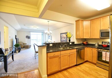 8612 Wintergreen Ct unit 405, Odenton, MD 21113 - photo 3