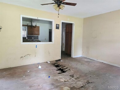 807 N Poplar St, Dexter, MO 63841 - photo 3