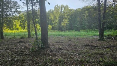 3064 Highway 1 N, Cassatt, SC 29032 - photo 4