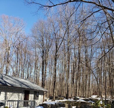 5 Beech Ln, Lake Ariel, PA 18436 - photo 3