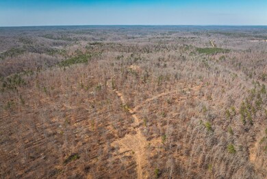DJI_20240321145709_0178_D