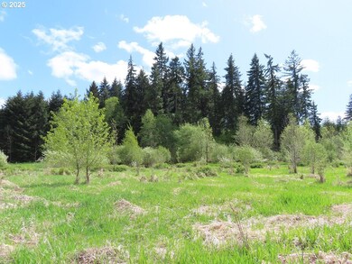 3898 State Route 6, Peell, WA 98572 - photo 5