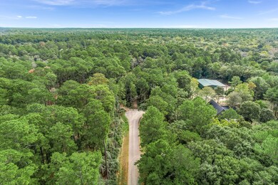 21701 Dan Dr, Magnolia, TX 77355 - photo 3