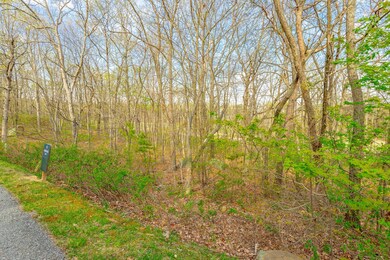 0 Old Rocky Trail unit RTC2866646, Rising Fawn, GA 30738 - photo 7