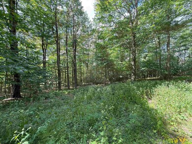 Lot 11 Kumbrabow Rd, Huttonsville, WV 26273 - photo 6