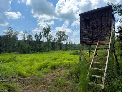 252 Palm Rd, Reidsville, NC 27320 - photo 3