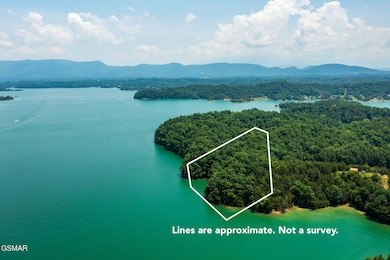 Parcel 020 Douglas Lake, Dandridge, TN 37725 - photo 2