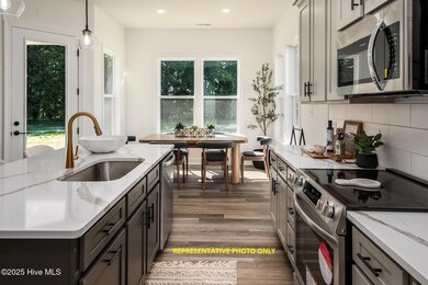 1717 Dixon Grove Ln, Grimesland, NC 27837 - photo 4