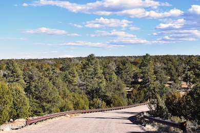 4367 Sunset Ridge Loop, Happy Jack, AZ 86024 - photo 2