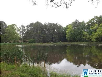 Large private pond great for fishing