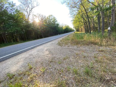 0 N Woodbridge Dr unit 22048039, Bitely, MI 49309 - photo 2