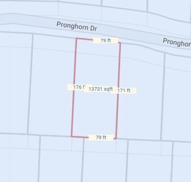 Lot 35C Pronghorn Dr, Gordonville, TX 76245 - photo 3