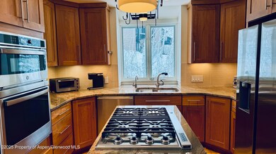 302 Roaring Fork Dr, Aspen, CO 81611 - photo 5