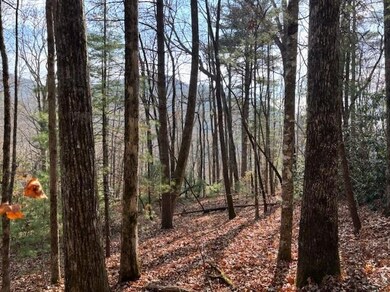 0 Evergreen Ln unit 7686011, Dillard, GA 30537 - photo 7