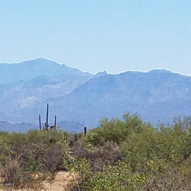 NORTH VIEWS