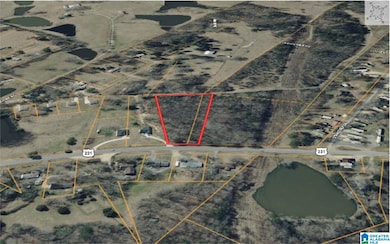 36555 US Hwy 231, Ashville, AL 35953 - photo 3