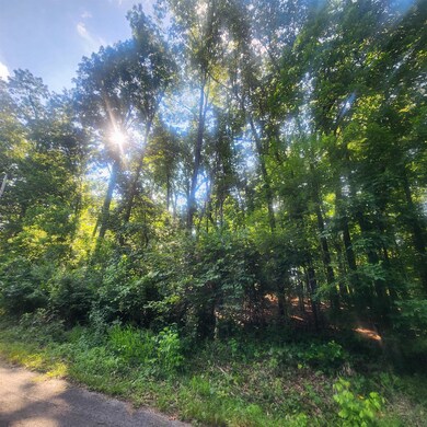 L-25 B-7 Navajo Trace, Cherokee Village, AR 72529 - photo 5