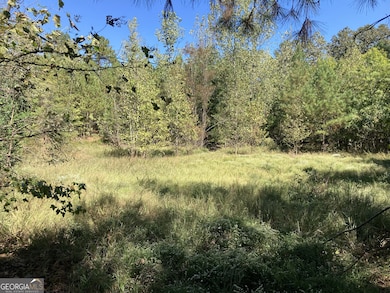 0 Flatwoods Rd unit 10649821, Elberton, GA 30635 - photo 7