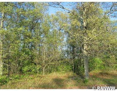 Lot 8 Hwy 35, Danbury, WI 54830 - photo 4