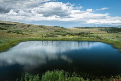 110 Wasatch Ln, Placerville, CO 81430 - photo 4