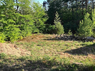 3 Beechwoods Dr, Bartlett, NH 03845 - photo 4