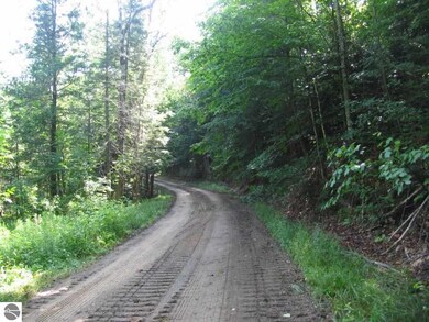 2630 Huffman Lake Rd, Vanderbilt, MI 49795 - photo 4