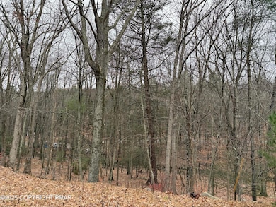 88 Fairfax Ter 88 Terrace, East Stroudsburg, PA 18301 - photo 3