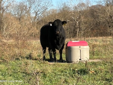 0 Hwy 467 unit 1703703, Worthville, KY 41098 - photo 6