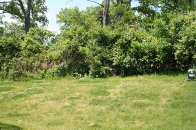 TREE LINED BACK YARD