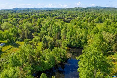 1004 Whispering Pines Ln, Charlottesville, VA 22901 - photo 4