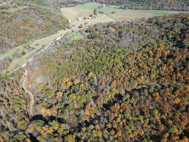 0000 Highway 412, Berryville, AR 72616 - photo 6