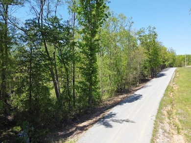 0 River Ridge unit 25-233, Rosie, AR 72571 - photo 6