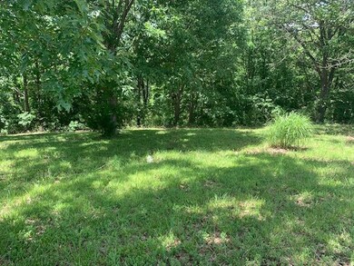 Tbd James River Rd, Kimberling City, MO 65686 - photo 4