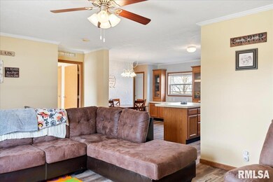 801 S Cass St, Virginia, IL 62691 - photo 7