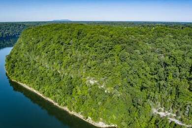 3 Island, Walling, TN 38567 - photo 6