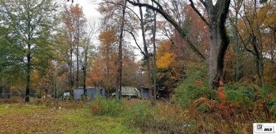 1203 U S 80, Calhoun, LA 71225 - photo 5