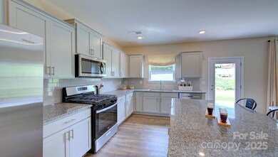 145 Bovine Branch Rd, Fletcher, NC 28732 - photo 4