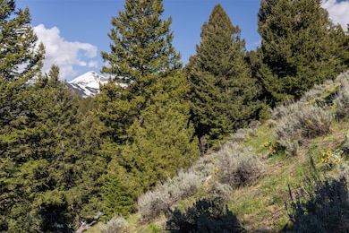 Lot 10 Two Gun White Calf Rd, Big Sky, MT 59716 - photo 4