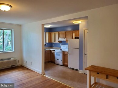 1029 Perry St NE unit 304, Washington, DC 20017 - photo 7