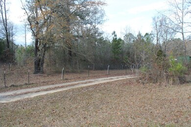 0 Highway 220 unit 449638, Lincolnton, GA 30817 - photo 3